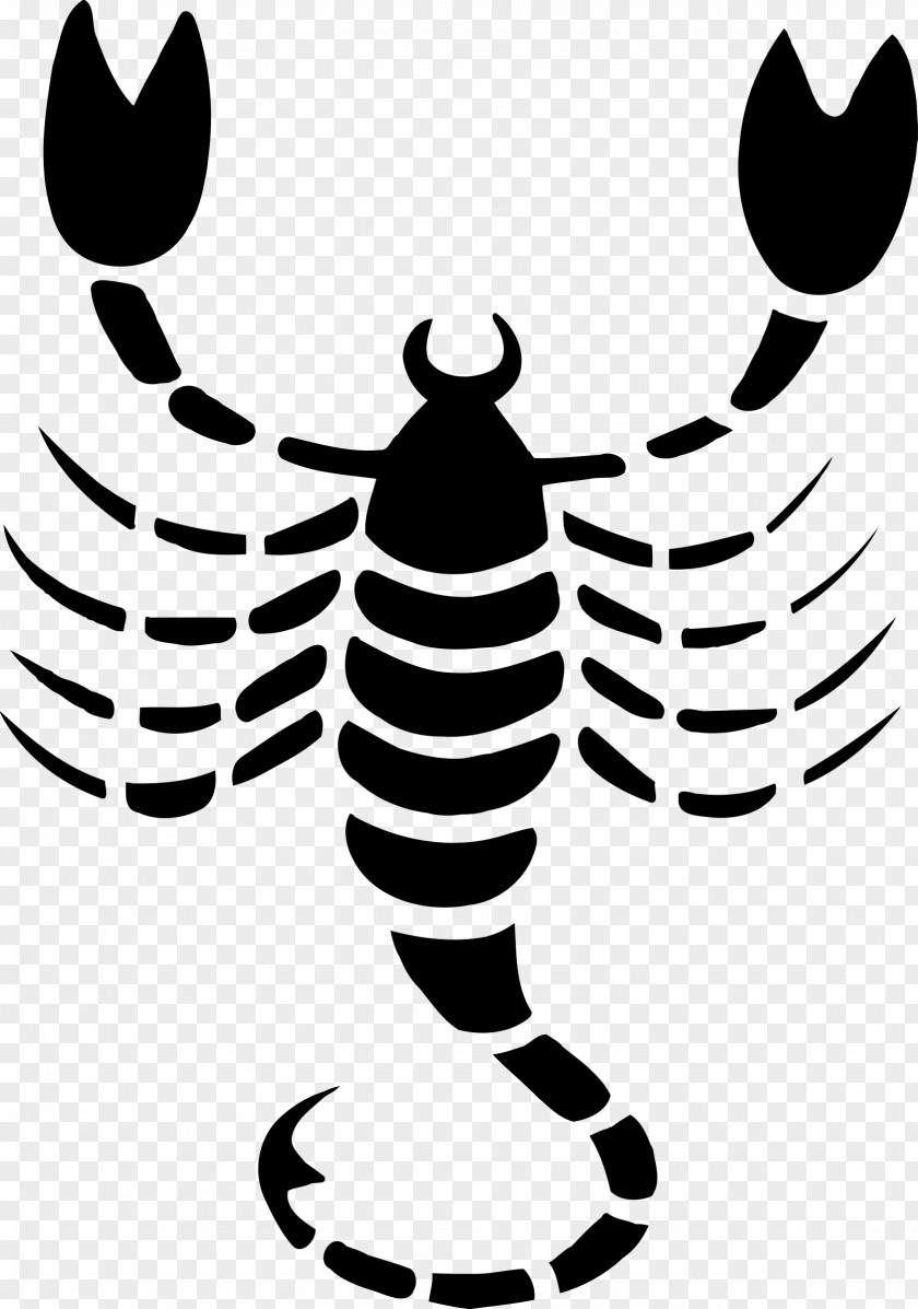 Scorpio Astrology Scorpion Astrological Sign Zodiac Clip Art PNG
