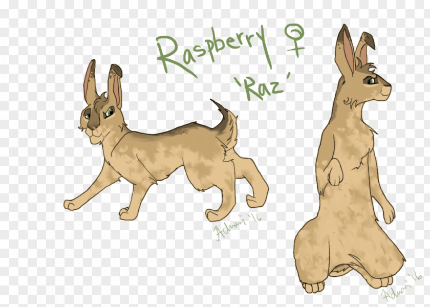Watership Down How To Draw Bunnies Dog Breed Domestic Rabbit Hare Macropods PNG