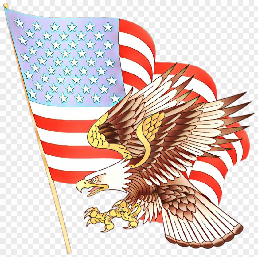 Wing Veterans Day United States PNG