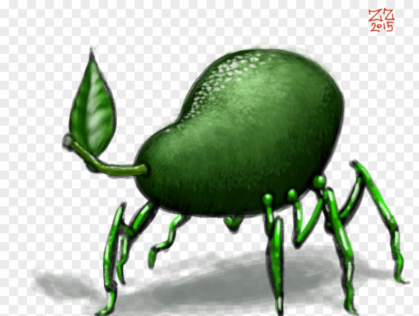 Avocado DeviantArt Drawing Beetle PNG