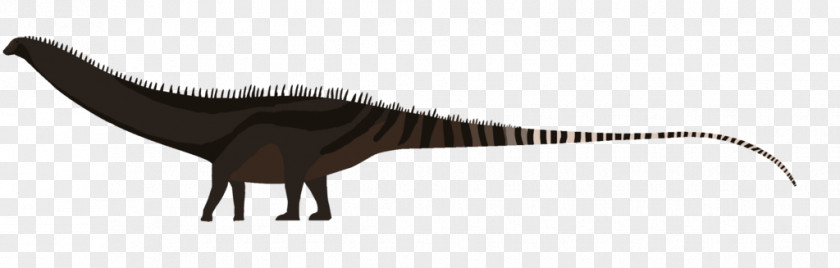 Dinosaur Tyrannosaurus Diplodocus Daspletosaurus Argentinosaurus PNG