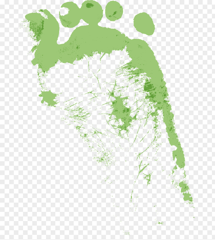 Green Footprints Footprint PNG