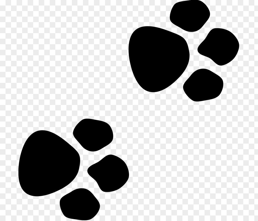 Paw Wildcat Dog Bear PNG