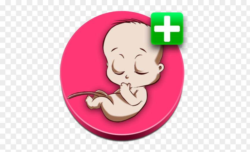 Pregnancy Gestation Ectopic Calculated TrashBox PNG
