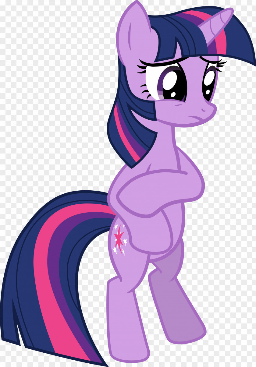 Princess Twilight Sparkle Part 1 Pony Cutie Mark Crusaders Horse 9 October PNG