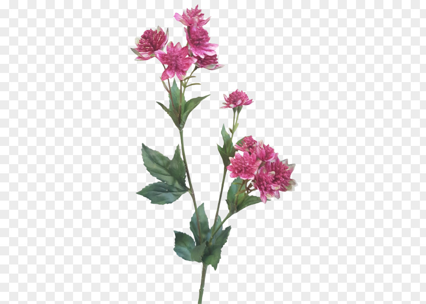 Burgundy Flowers Cut Floral Design Plant Stem PNG