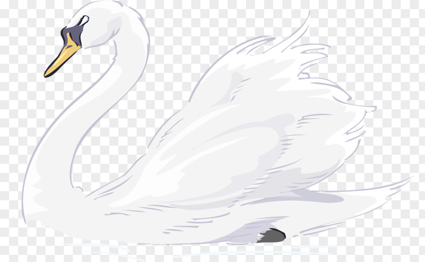 Cartoon Goose Black Swan Trumpeter Tundra Clip Art PNG