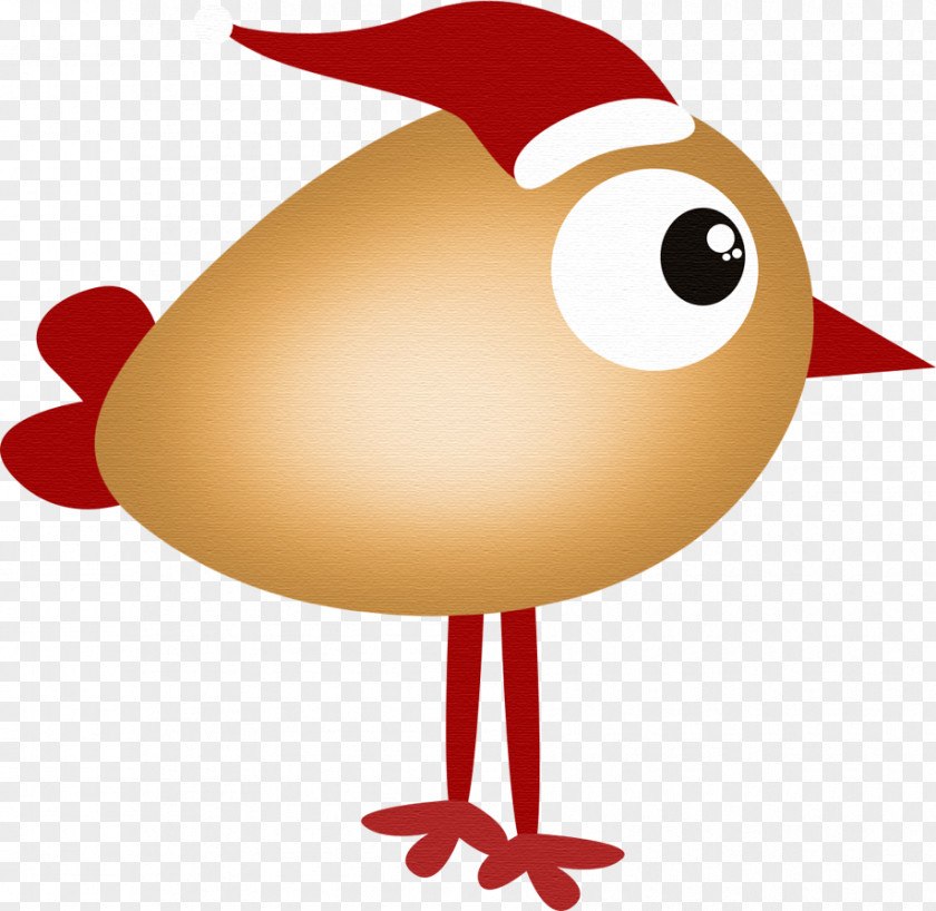 Chick Chicken Clip Art PNG