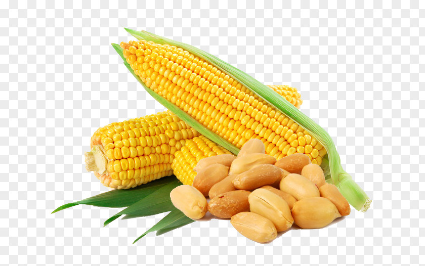 Corn And Peanuts Waxy Flint Flakes Sweet Vegetable PNG