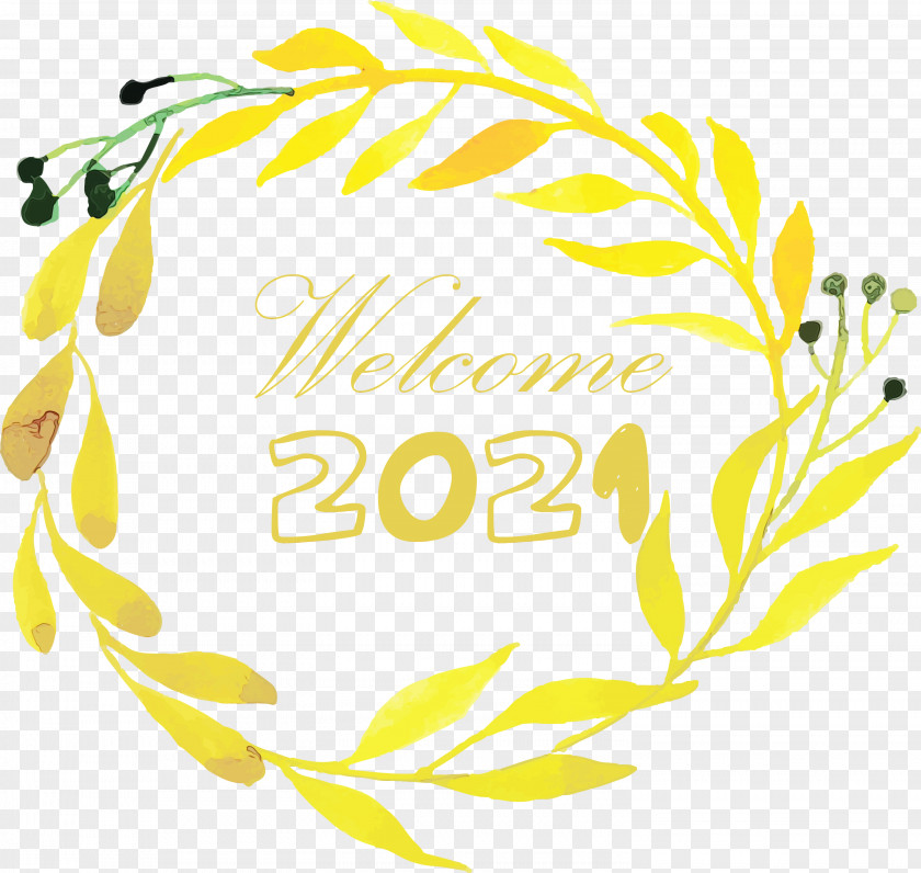 Floral Design PNG