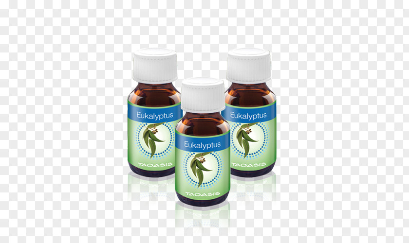 EUKALYPTUS Tapeworms Parasitism Gum Trees Essential Oil PNG