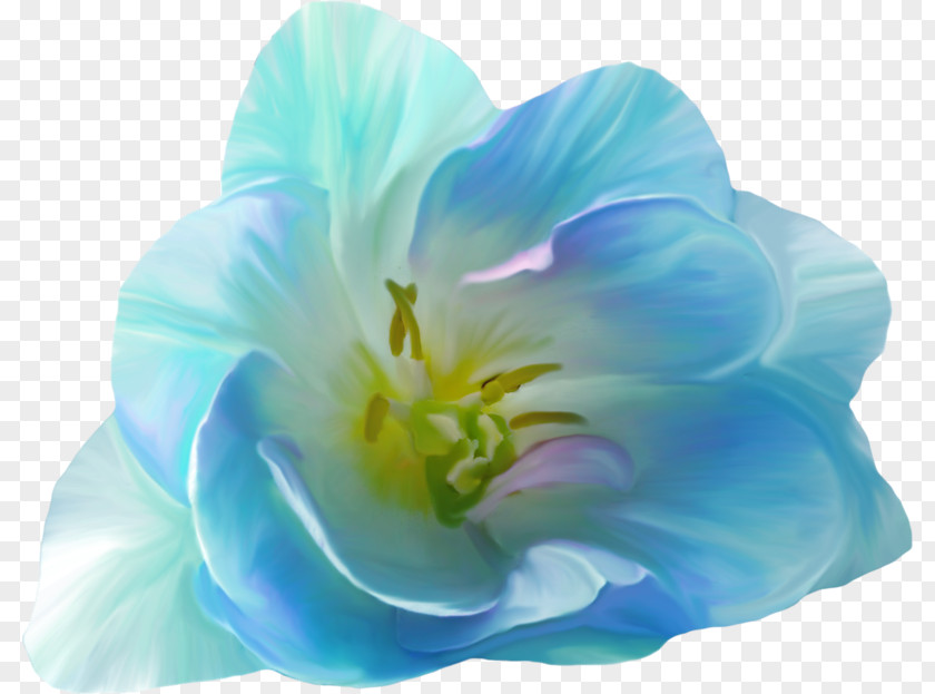 Flower Pink Flowers Blue Clip Art PNG