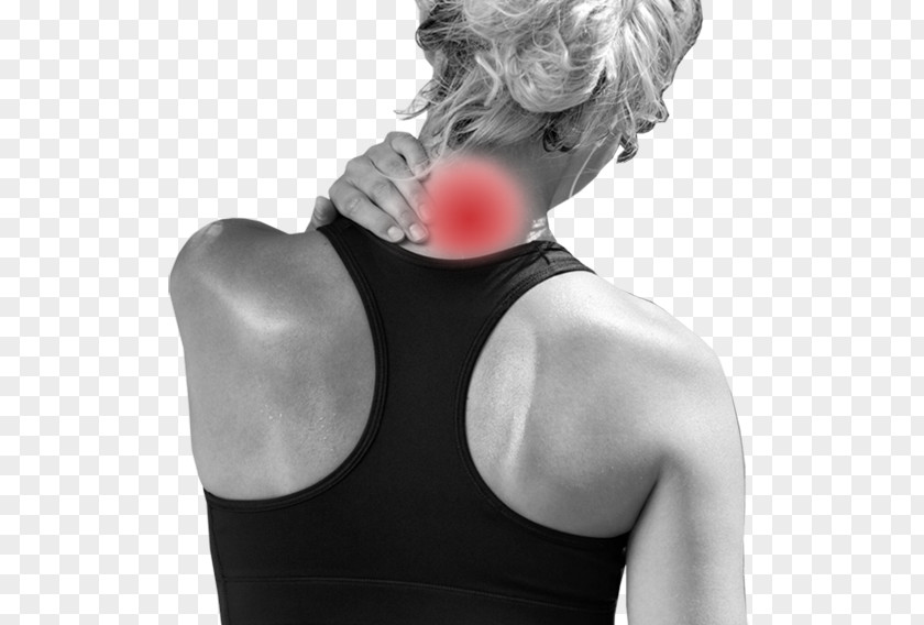 Health Neck Pain Physical Therapy Back PNG