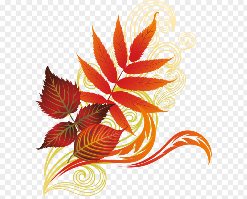 Leaf Clip Art Drawing Image Autumn PNG