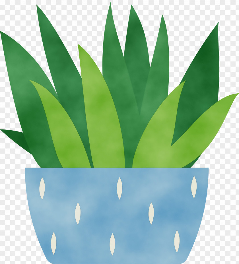Leaf Green Flowerpot Biology Plants PNG