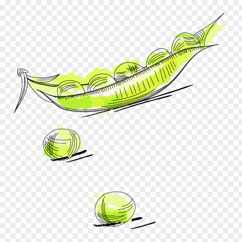 Pea Jerky Vegetable PNG
