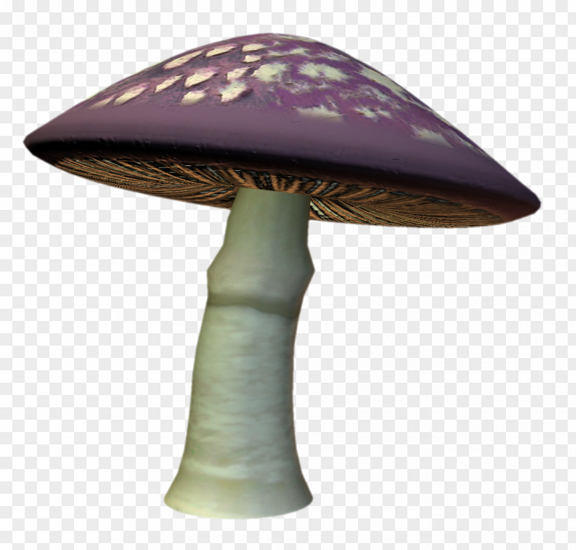 Polka Dotted Mushroom DepositFiles Clip Art Fungus Product Design PNG
