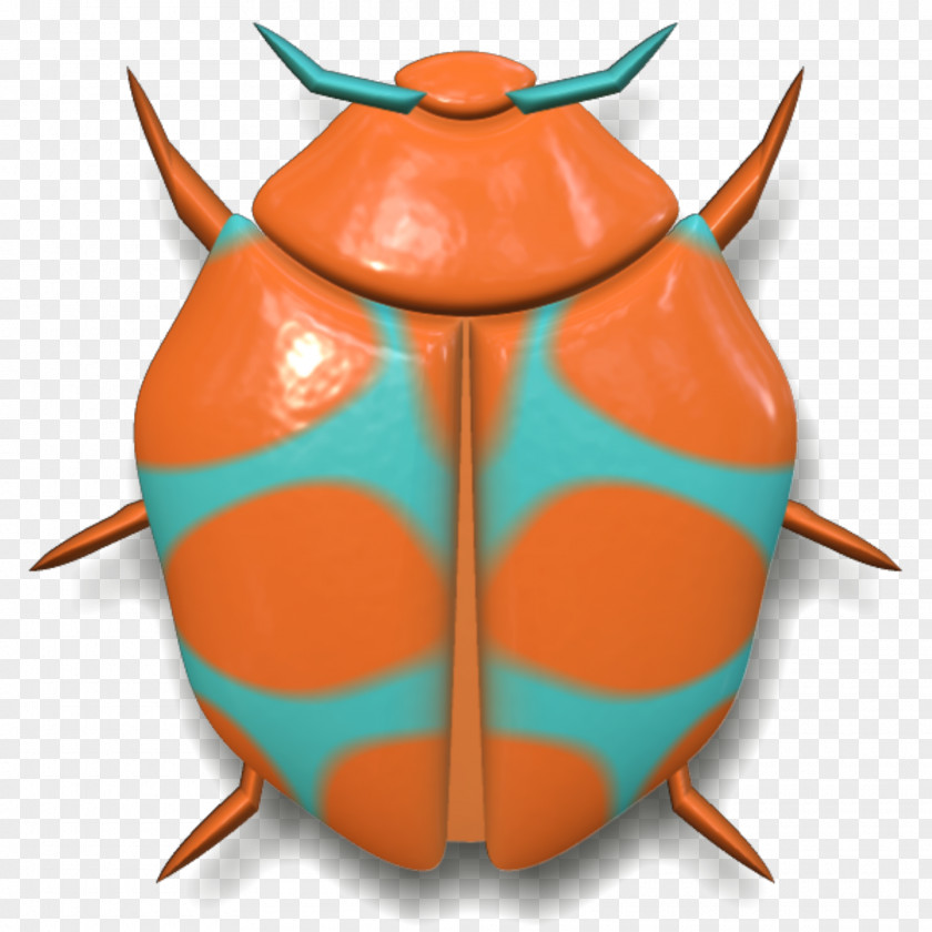 Beetle Yellow Ladybird PNG