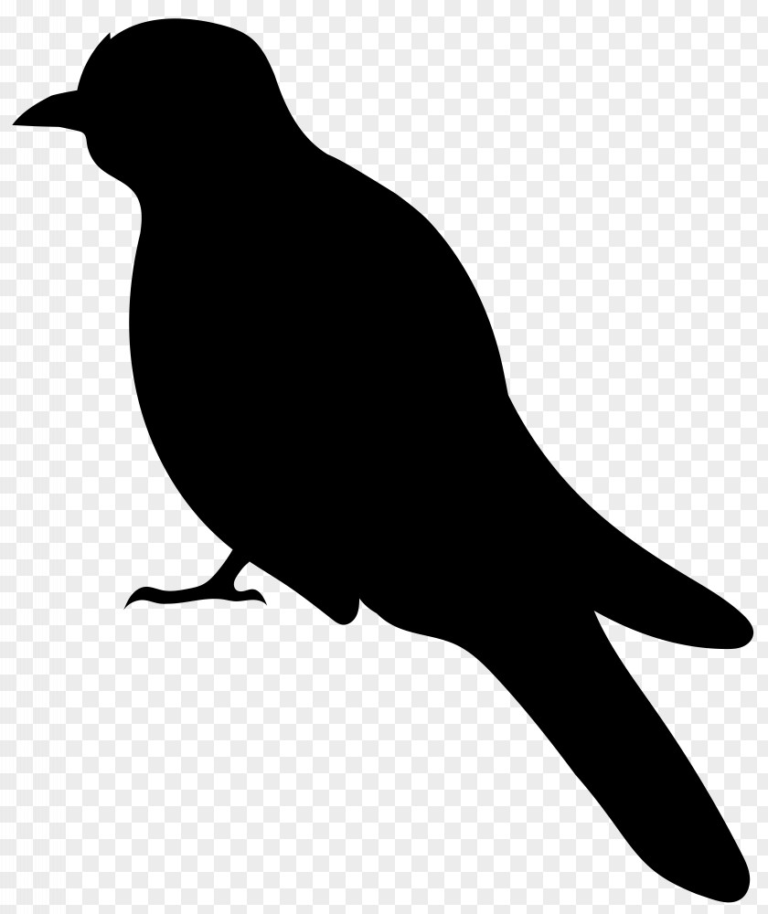 Bird Silhouette Clip Art Image PNG