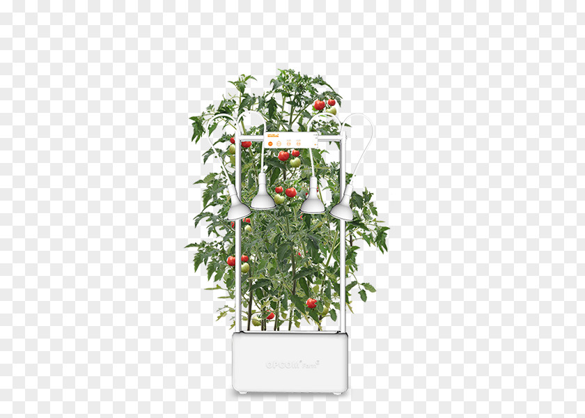 Design Flowerpot Floral Houseplant Tree PNG