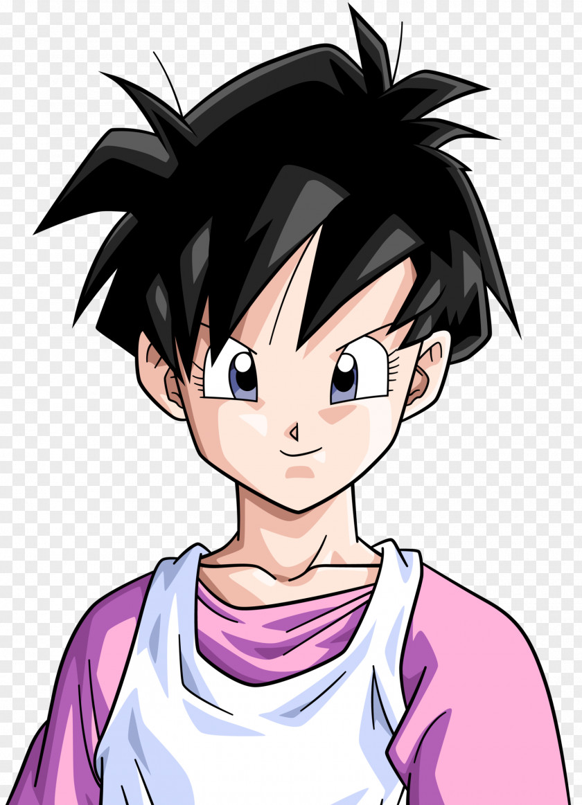 Goku Dragon Ball Z: Budokai 3 Videl Gohan Chi-Chi PNG