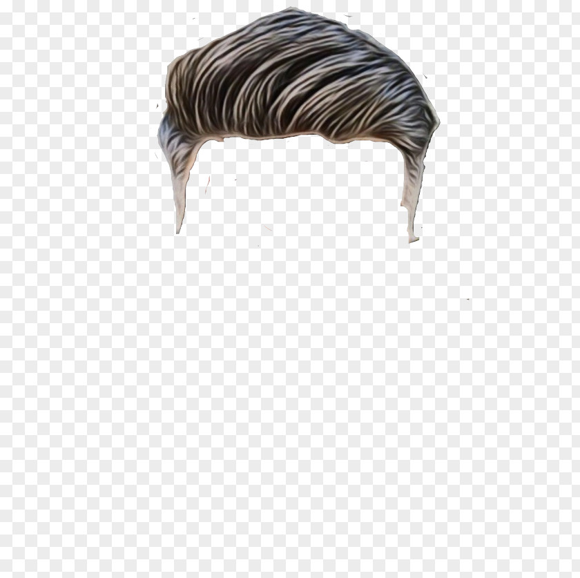 Hair Drawing PNG