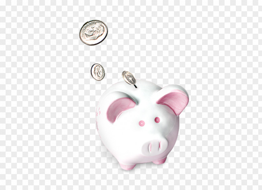 Piggy Bank Money PNG