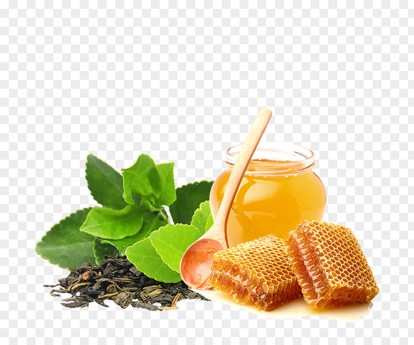 Tea Green Matcha Oolong Camellia Sinensis PNG