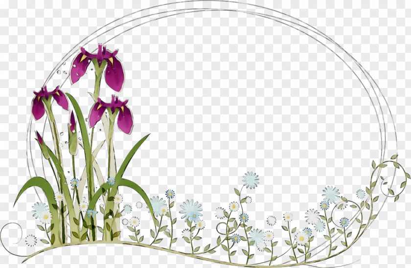 Wildflower Herbaceous Plant Watercolor Flowers PNG