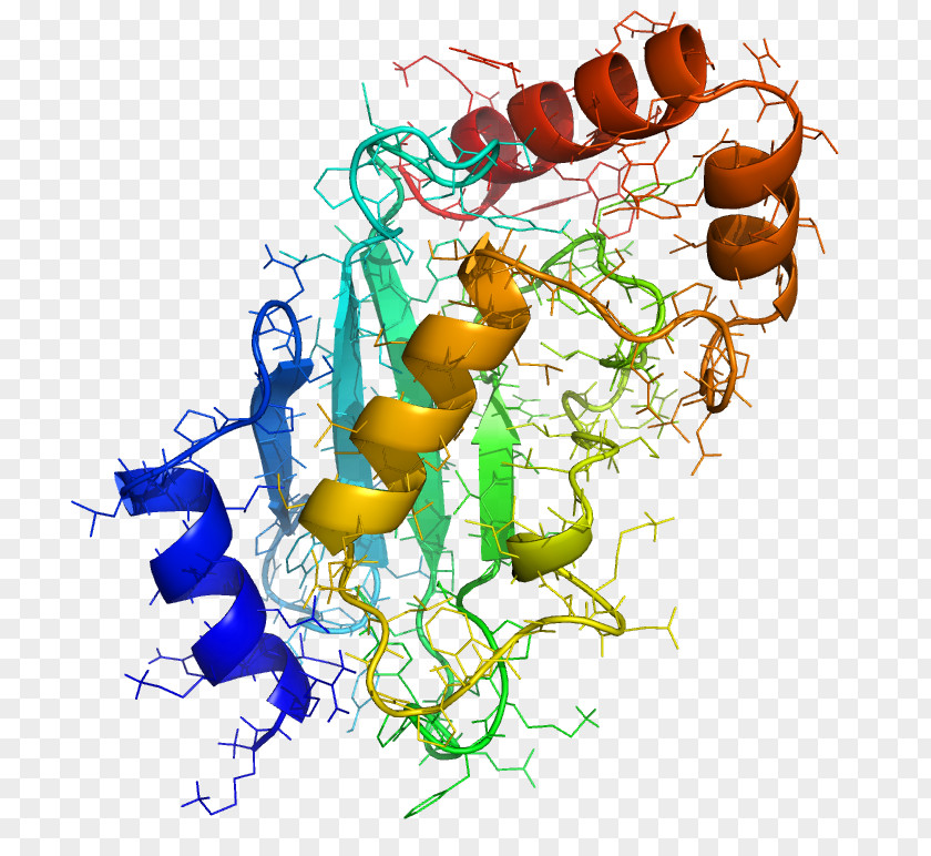 Atp Background Clip Art Enzyme Ubiquitin Post-translational Modification PNG