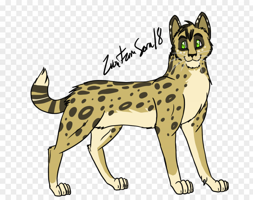 Cheetah Wildcat Mammal Carnivora PNG