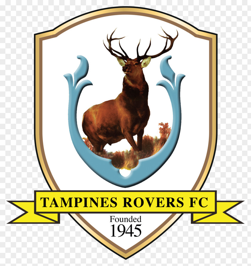 Football Tampines Rovers FC Singapore Premier League Young Lions Hougang United Geylang International PNG