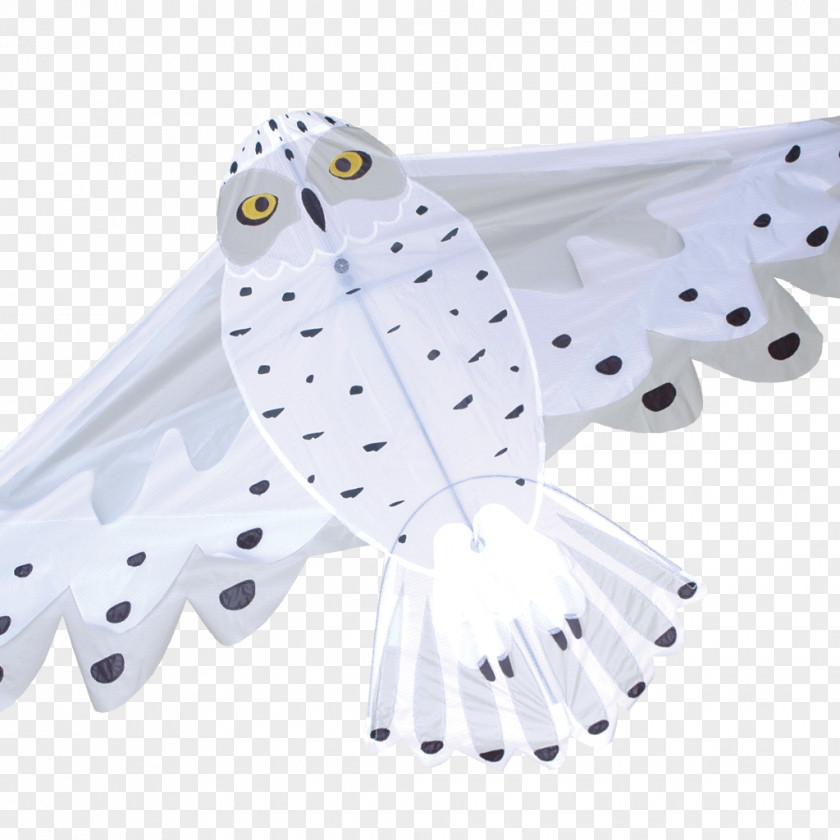 Kite Owl Sport Box Toy PNG