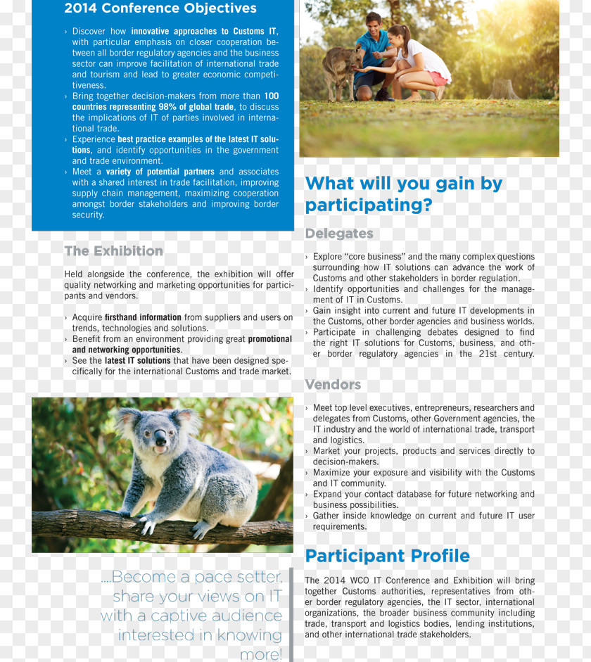 Koala Australia Pet Water Resources Canvas PNG