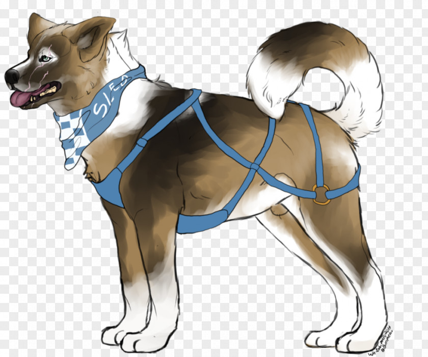 Sled Dog Breed Leash Snout PNG