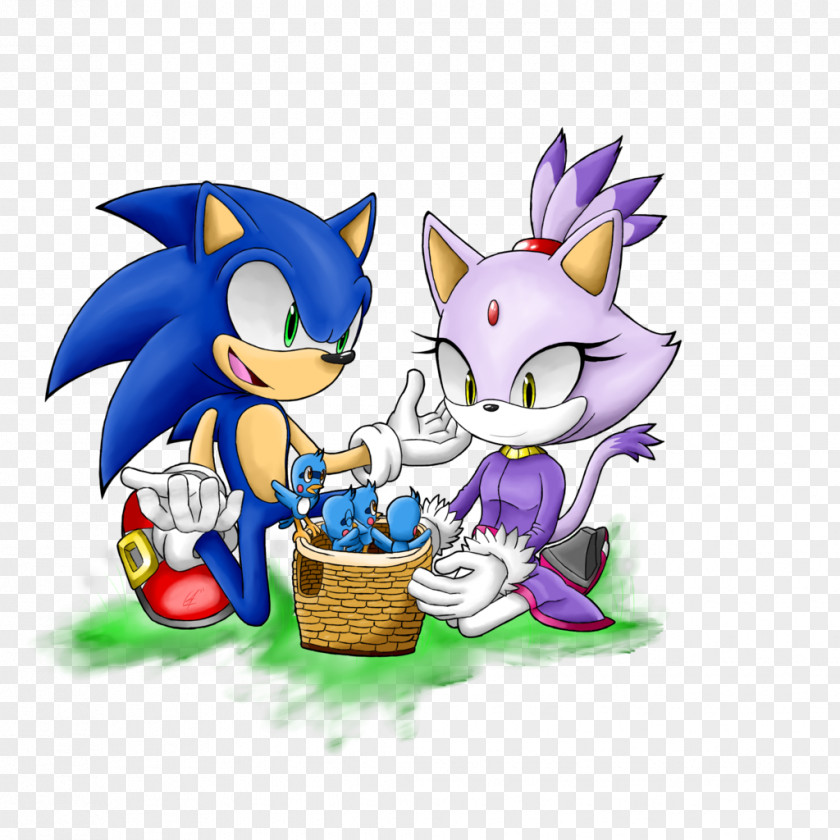 Sonic The Hedgehog Flicky 3D Blaze Cat PNG