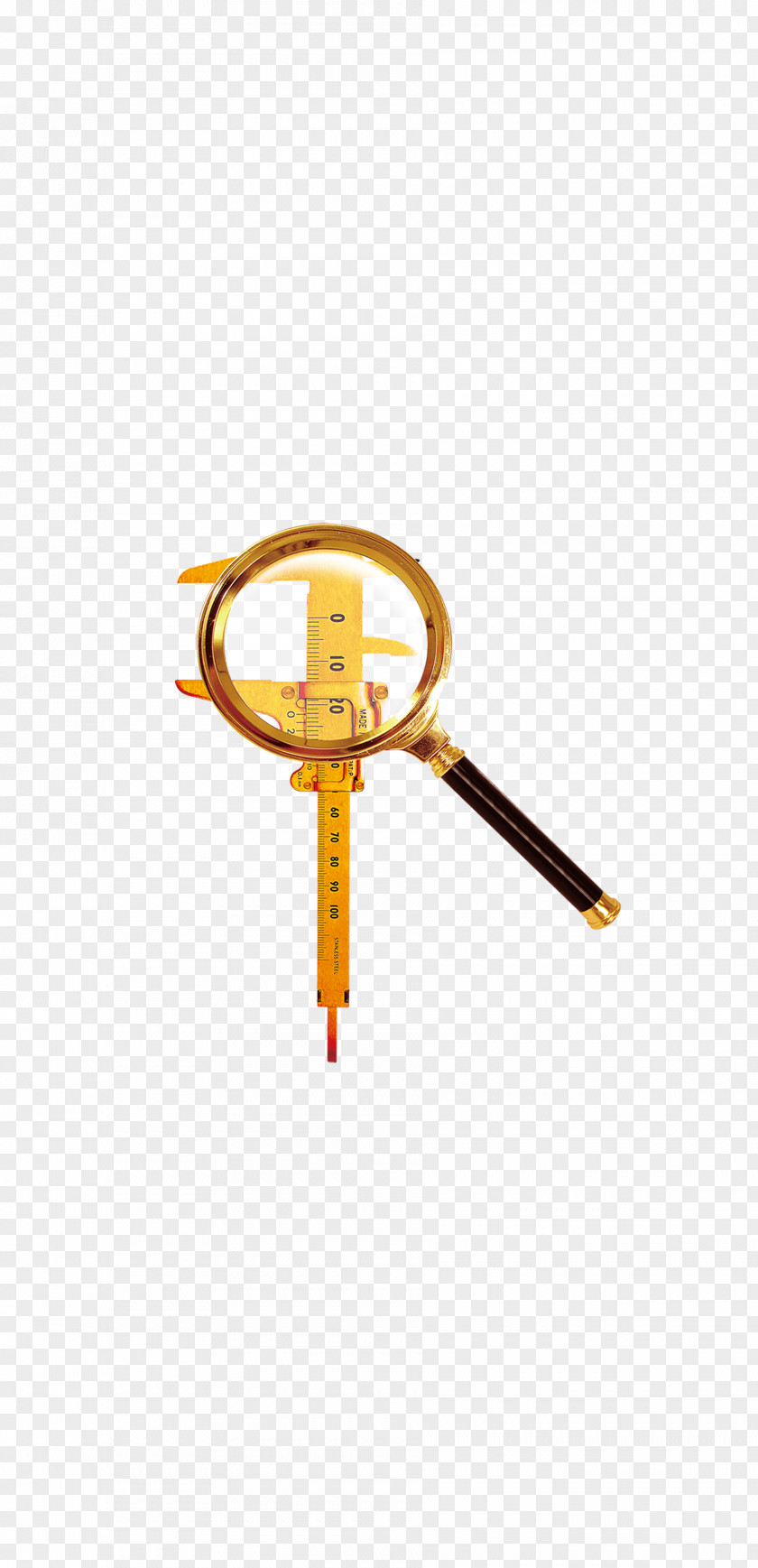World Under A Magnifying Glass PNG