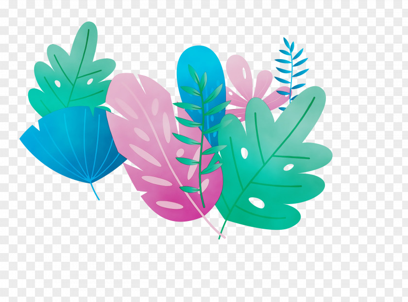 Leaf Turquoise Plant Structure Science Plants PNG