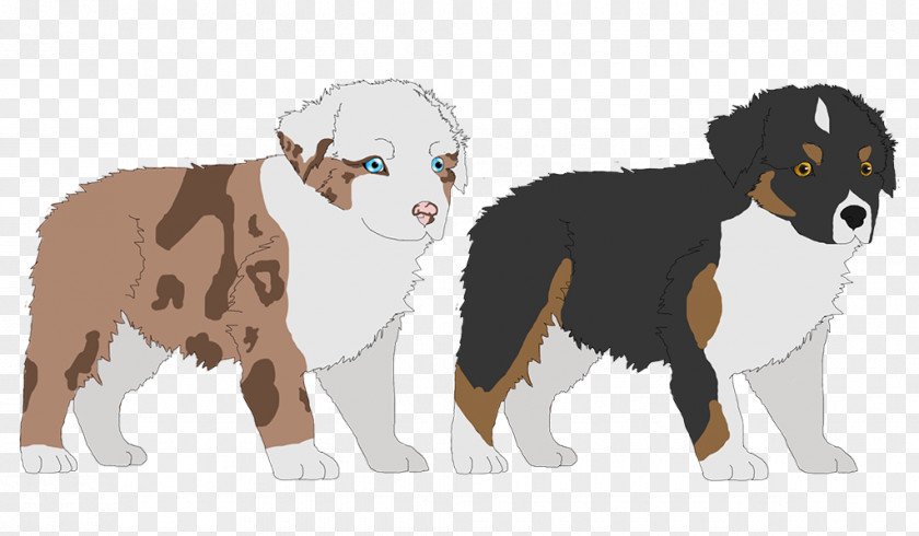 Puppy Dog Breed Cat PNG