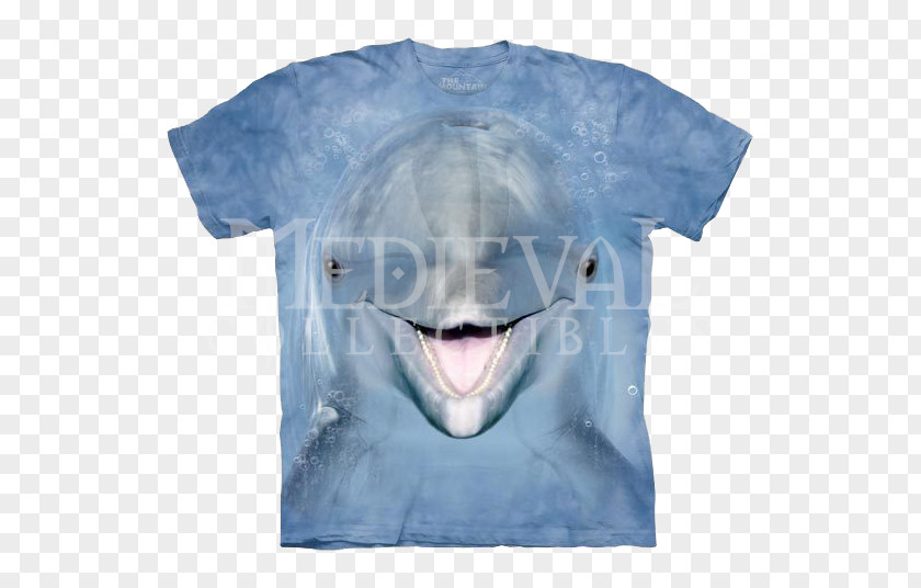 T-shirt Dive, Dolphin! Clothing Slipper PNG