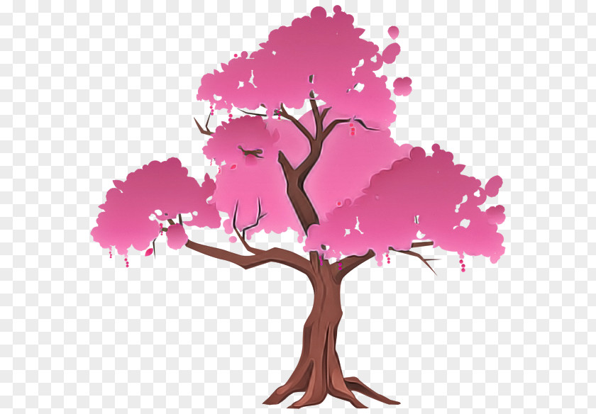 Tree Pink Plant Woody Branch PNG