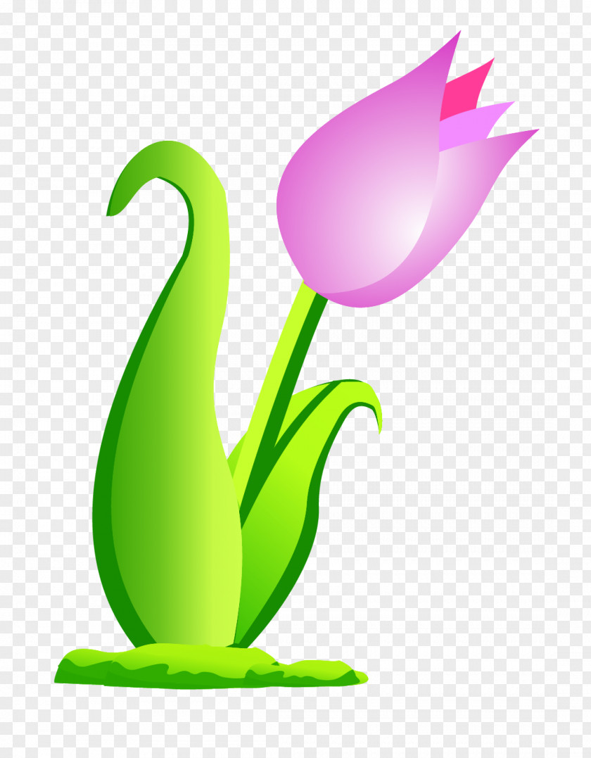 Vector Floral Flowers Cdr Flower Clip Art PNG