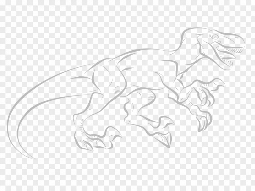 Velociraptor Cartoon Line Art Drawing Carnivora Sketch PNG