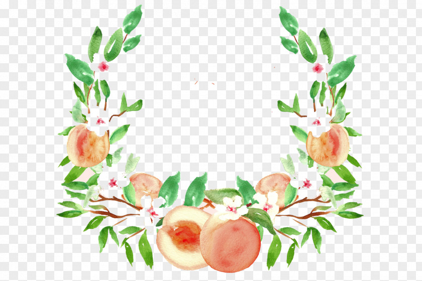 Watercolor Tree Peach Painting Drawing Fruit Clip Art PNG