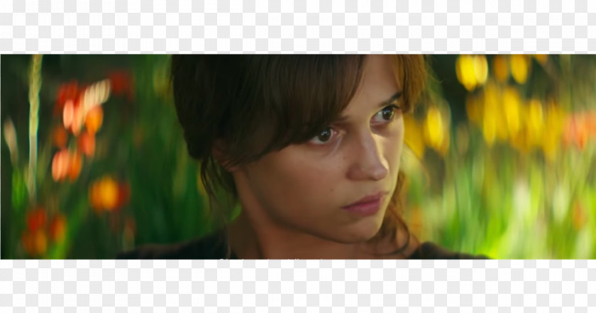 Alicia Vikander Euphoria Trailer Film Director PNG