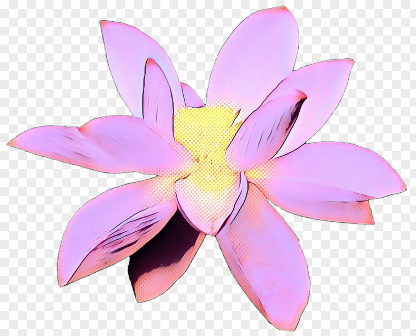 Cattleya Wildflower Pink Flower Cartoon PNG