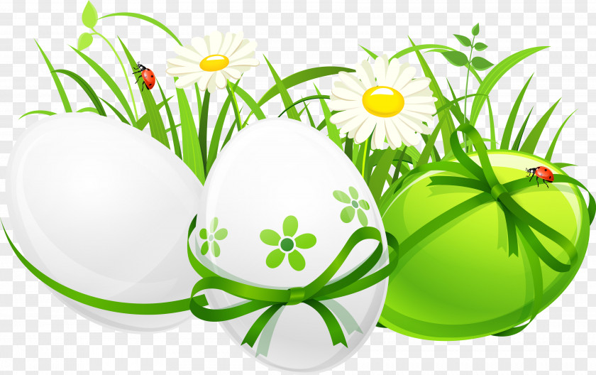 Easter Lawn Grasses Clip Art PNG