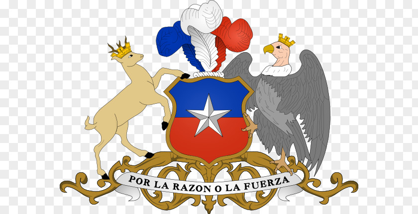 Escudo De Chile Coat Of Arms National Emblem PNG