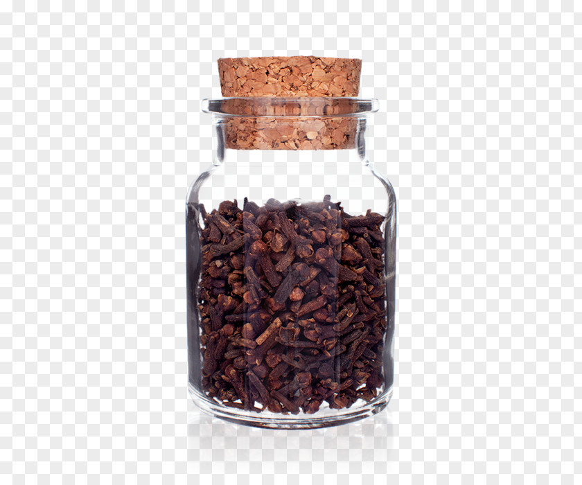 Glass Spice Bottle Clip Art PNG