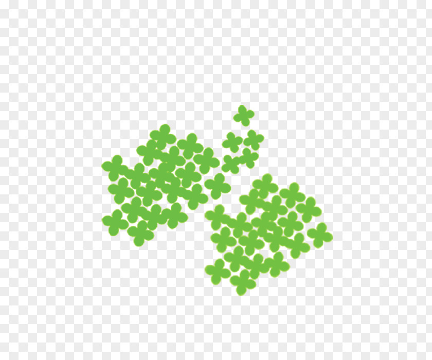 Green Clover Leaf PNG